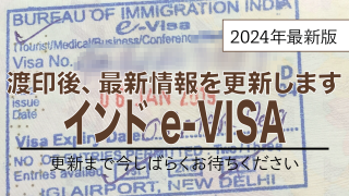 【2020年版】インドの”e-VISA”(eツーリストビザ)の申請方法～入国までを徹底解説！