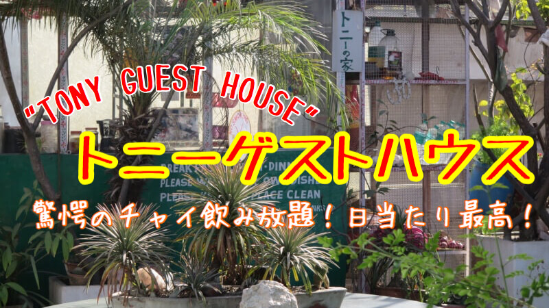 【ジャイプール宿】日本人宿”TONY GUEST HOUSE”に宿泊！驚愕チャイ飲み放題！